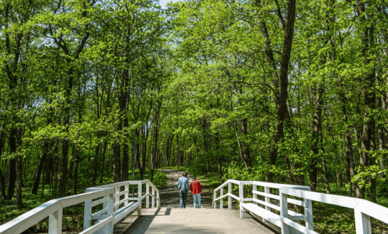 que ver y hacer en Raasepori (Ekenäs)